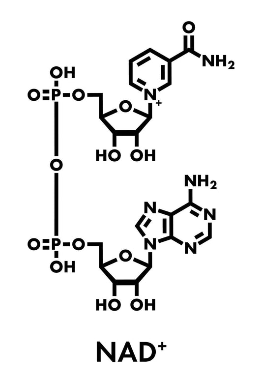 L'Elisir della Giovinezza dei VIP: La Verità sugli Integratori di NAD+